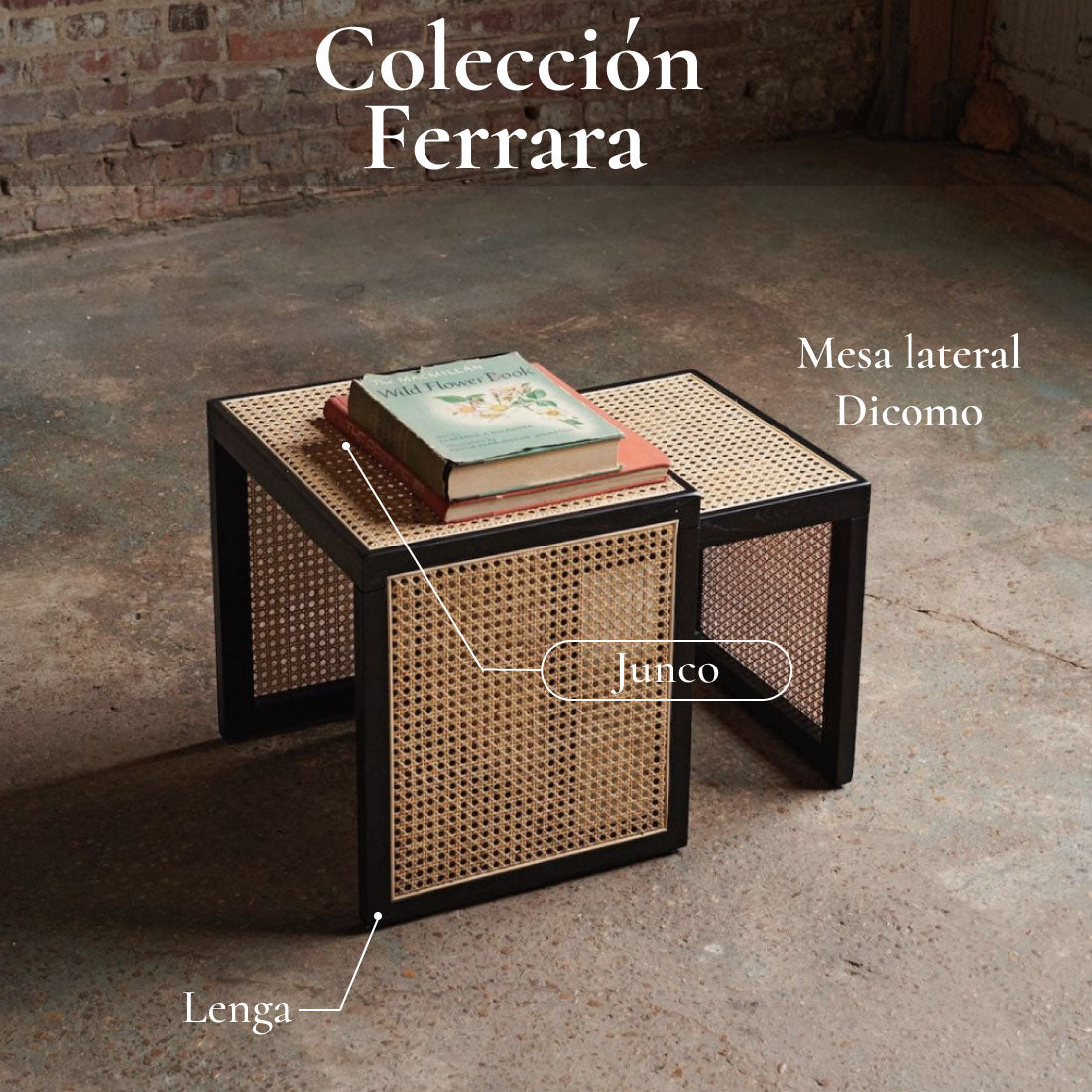 Mesa lateral junco Dicomo