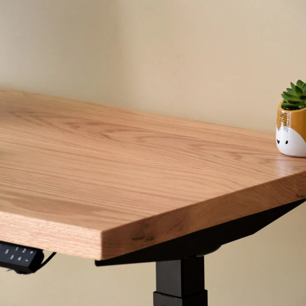 Escritorio ergonomico eléctrico Blackpool