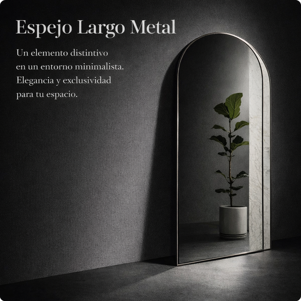 Espejo cuerpo completo metal