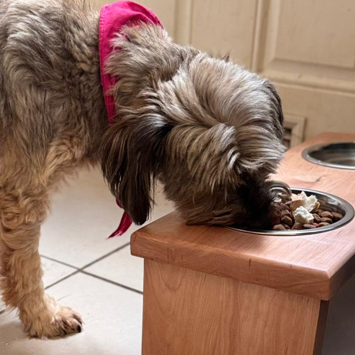 Comedero Mascota Feeder