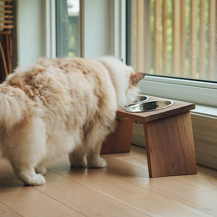 comedero mascota 