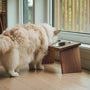 comedero mascota 
