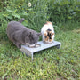 Comedero de gato Catit