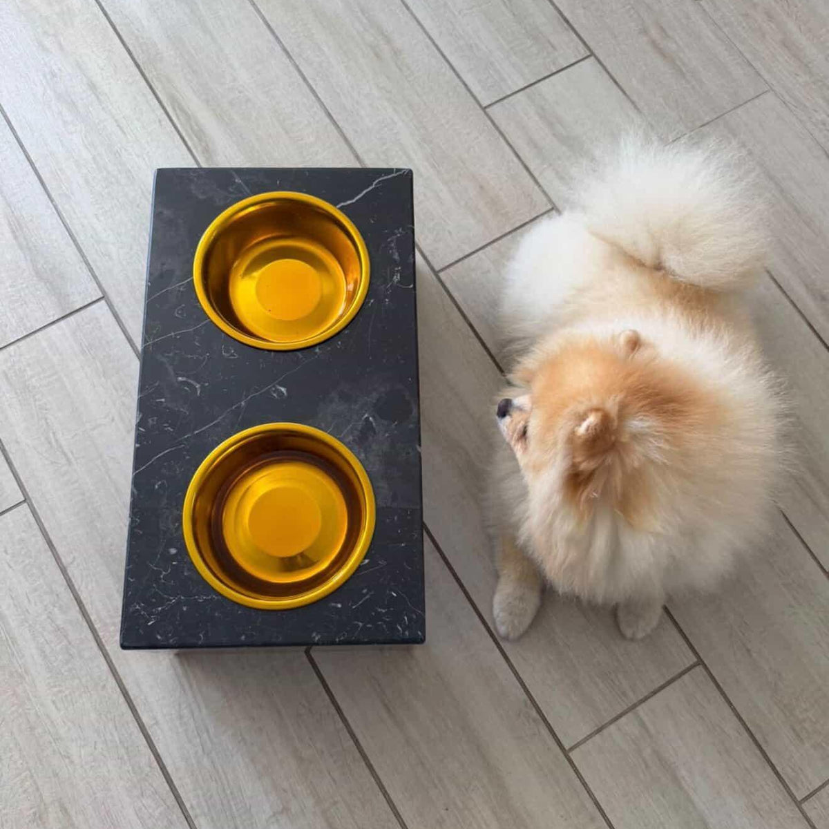 Comedero Mascota Marble Tail
