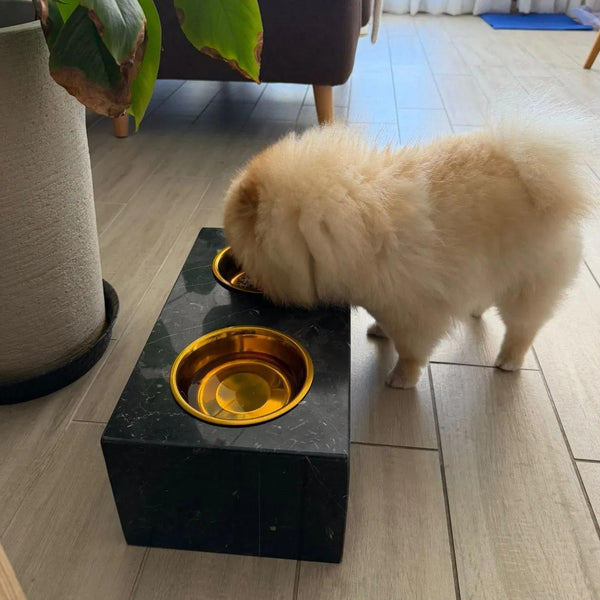 Comedero Mascota Marble Tail